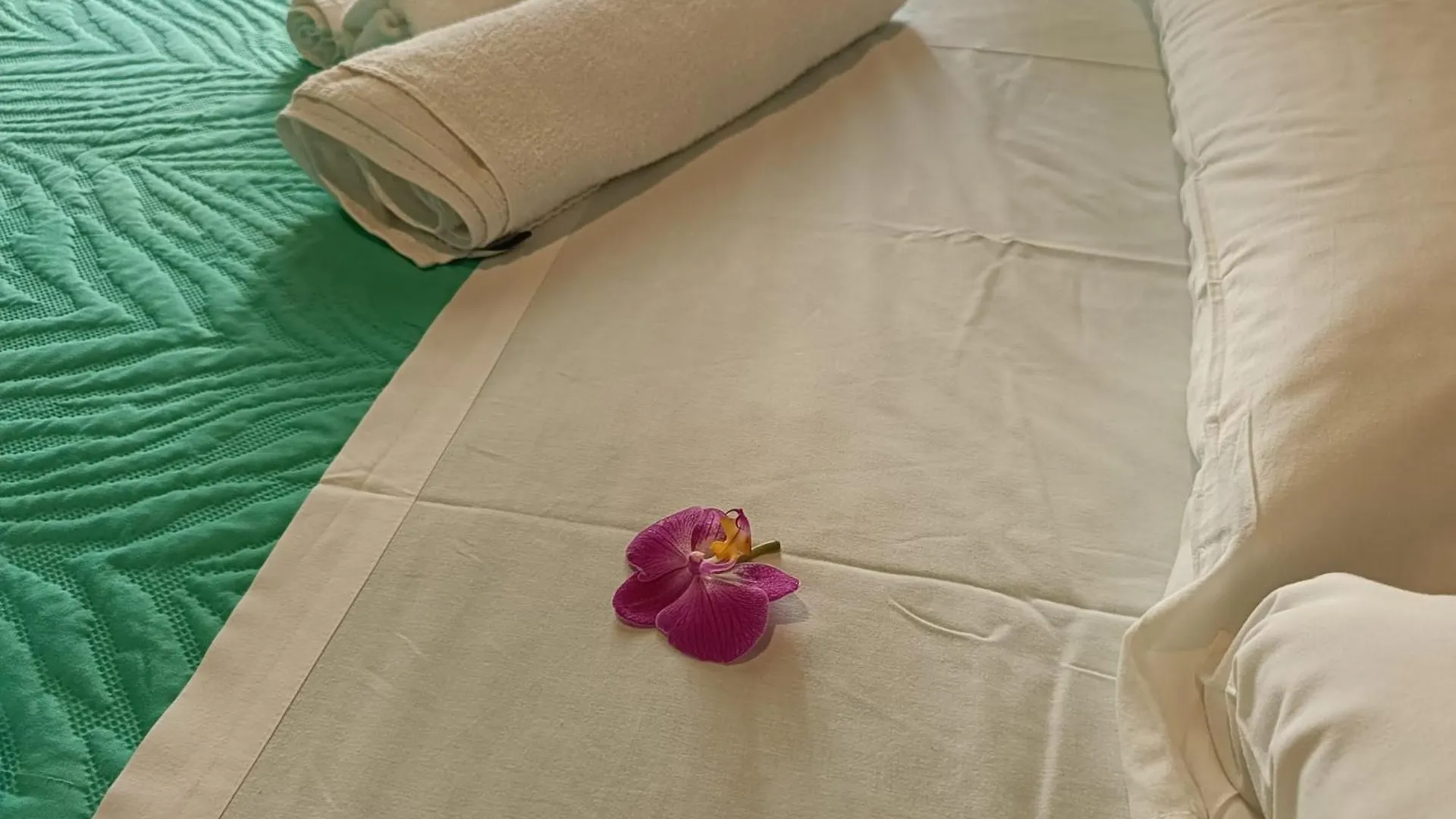 We # Are Ai Cassarelli Apartment Palermo